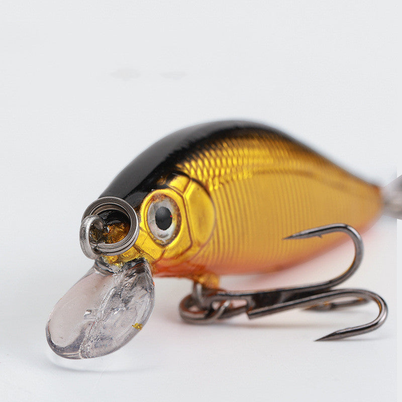 Freshwater Bass Blackfish Bait