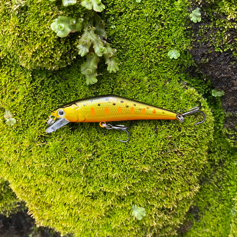 Warped Mouth Bass Dummy Bait