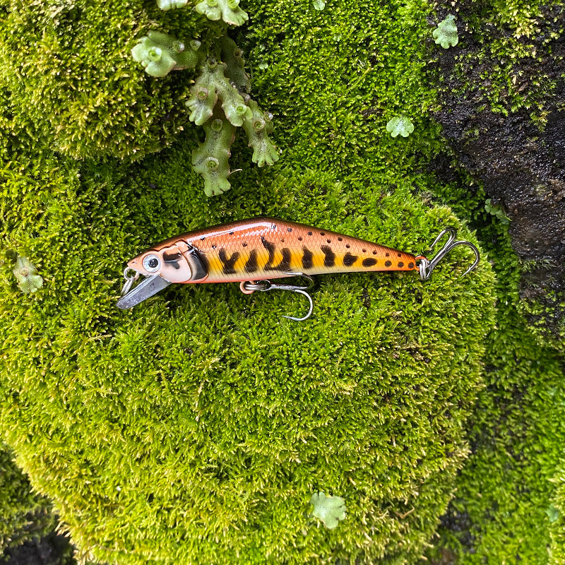 Warped Mouth Bass Dummy Bait