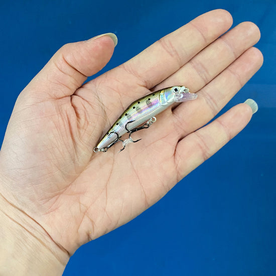 Warped Mouth Bass Dummy Bait