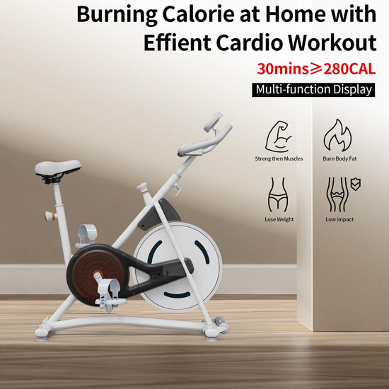 Home Gym exercise bike