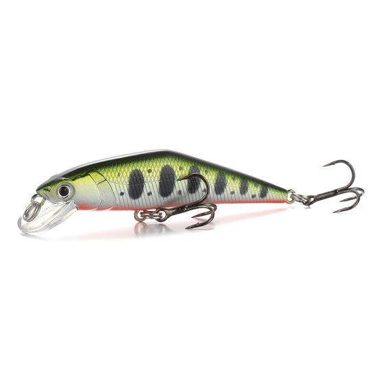 Warped Mouth Bass Dummy Bait