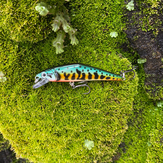 Warped Mouth Bass Dummy Bait