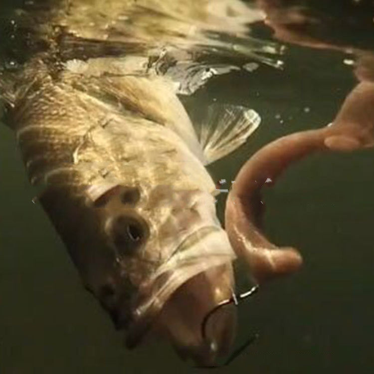 Bionic Fishing Silicone Bait Kit