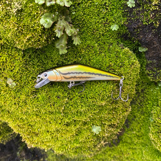 Warped Mouth Bass Dummy Bait