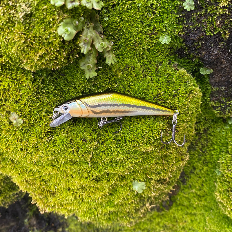 Warped Mouth Bass Dummy Bait