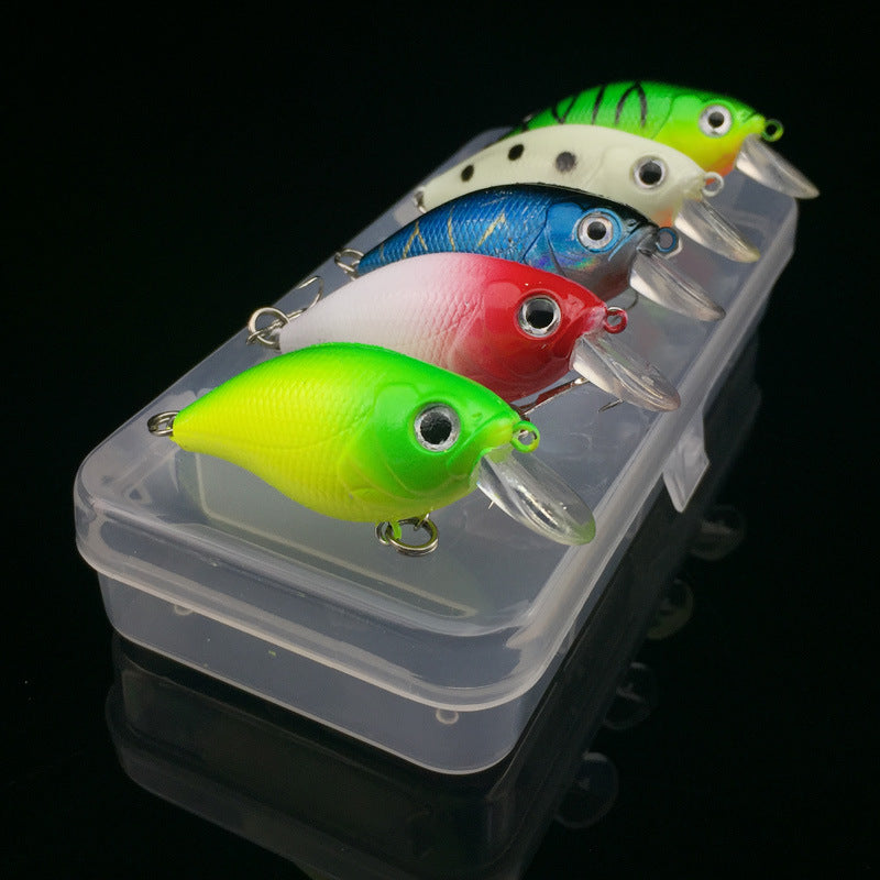 5Pcs Fishing Lure 5 Color Minnow Bait