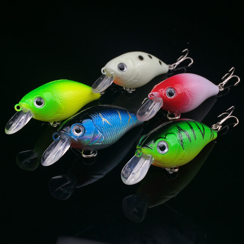 5Pcs Fishing Lure 5 Color Minnow Bait
