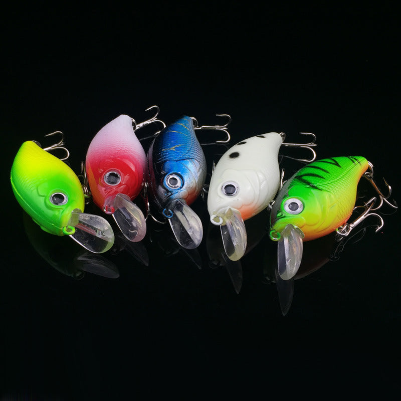 5Pcs Fishing Lure 5 Color Minnow Bait