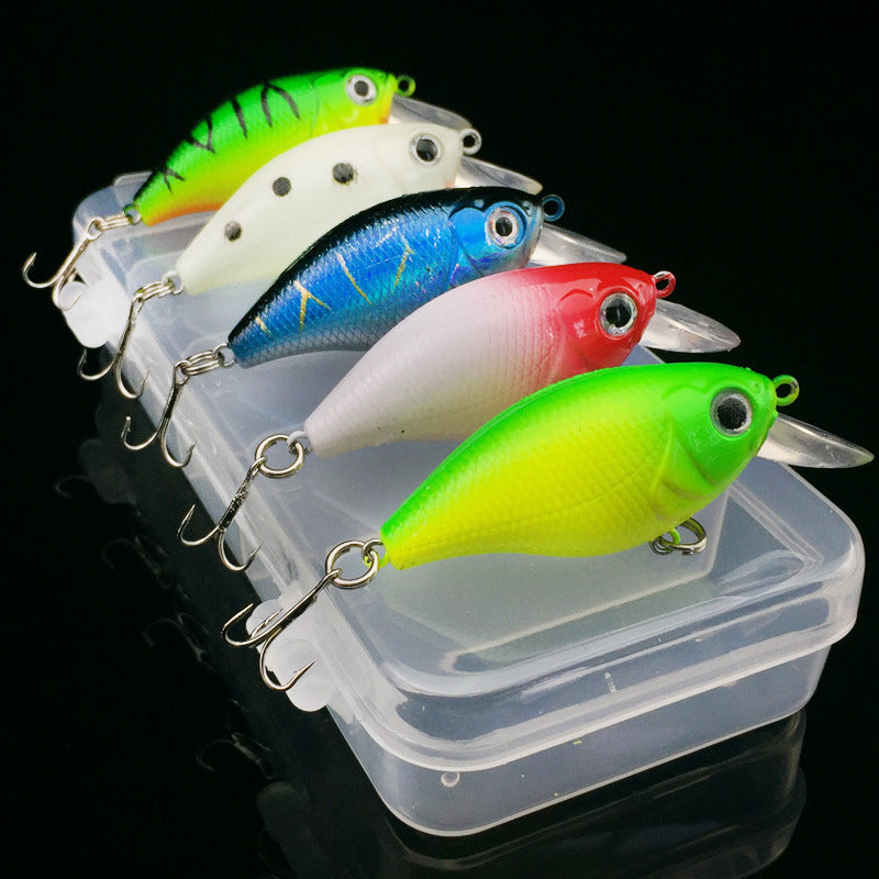 5Pcs Fishing Lure 5 Color Minnow Bait