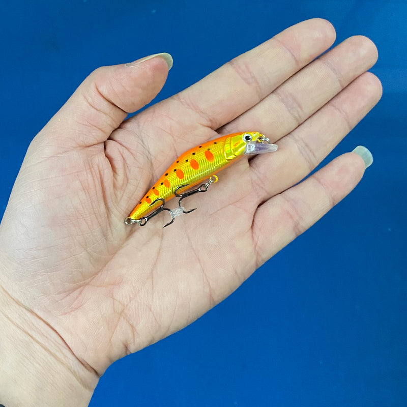 Warped Mouth Bass Dummy Bait