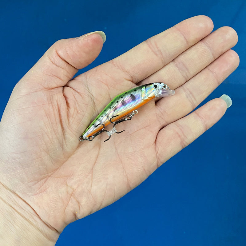 Warped Mouth Bass Dummy Bait