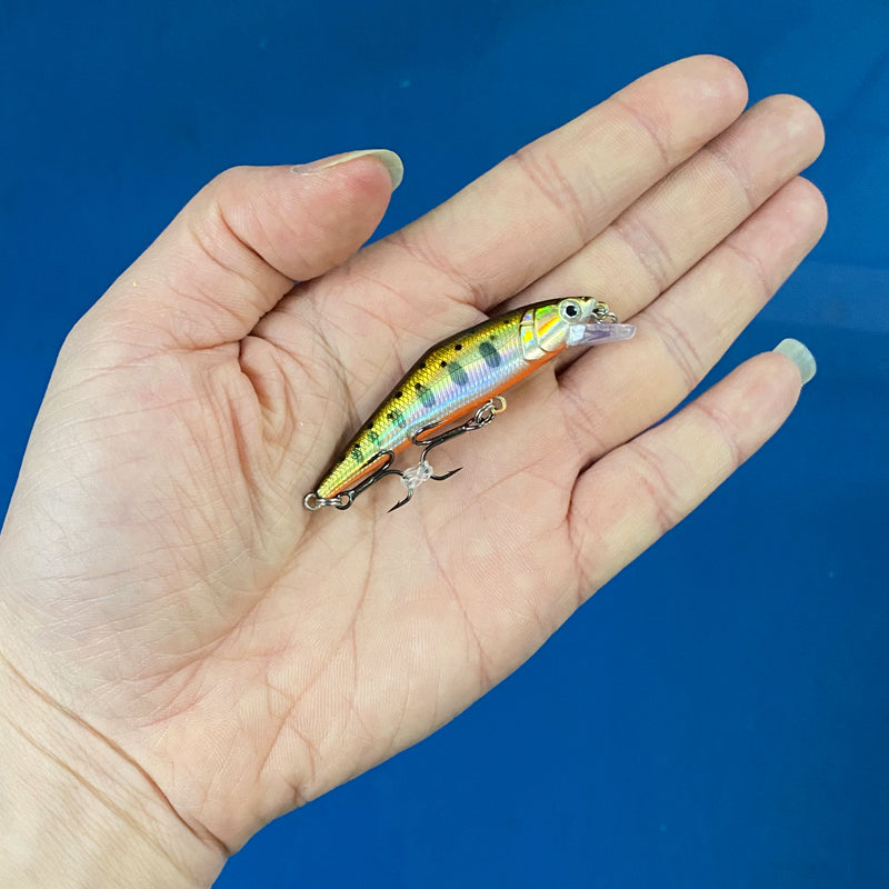 Warped Mouth Bass Dummy Bait