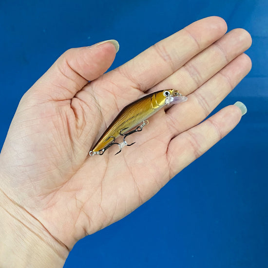 Warped Mouth Bass Dummy Bait