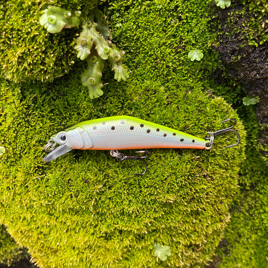 Warped Mouth Bass Dummy Bait