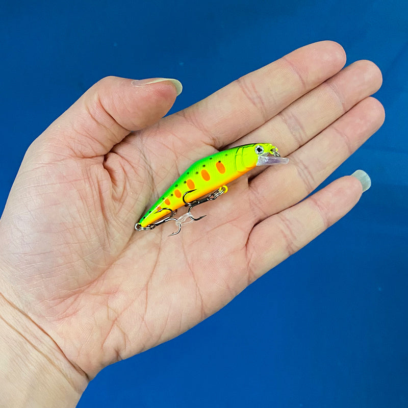 Warped Mouth Bass Dummy Bait