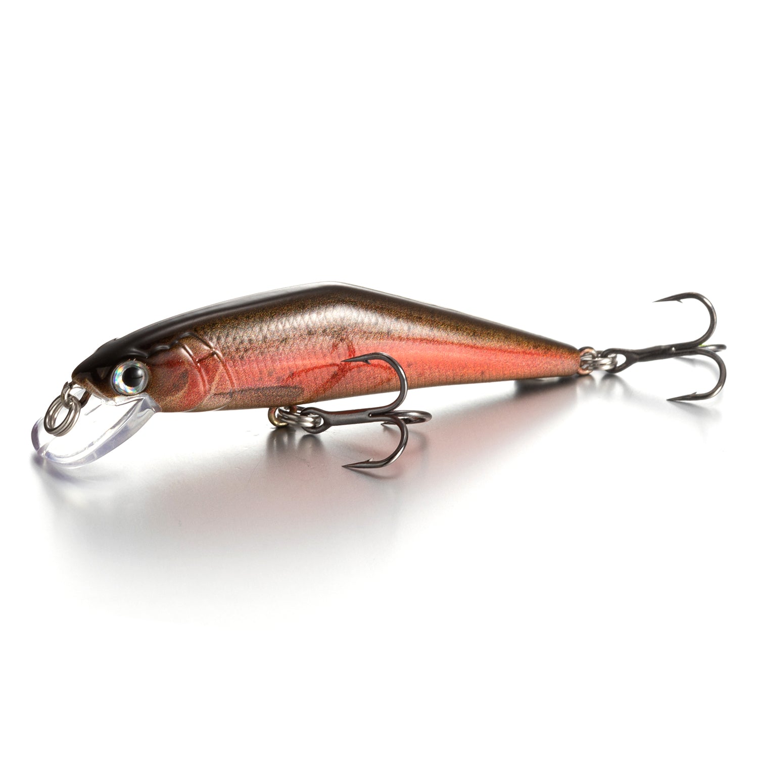 Warped Mouth Bass Dummy Bait