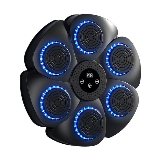 Smart Bluetooth Wireless Boxing Home Exercise Equipment